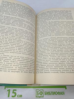 От «Фауста» до наших дней. Из истории немецкой литературы. Книга для учащихся старших классов.
