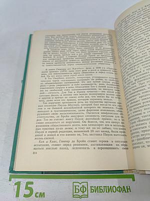 От «Фауста» до наших дней. Из истории немецкой литературы. Книга для учащихся старших классов.