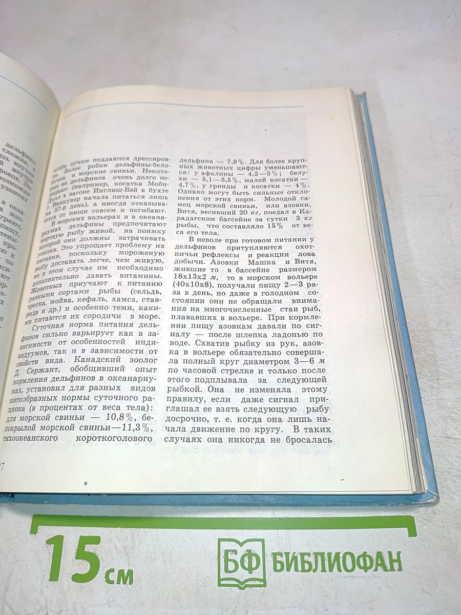 В мире китов и дельфинов