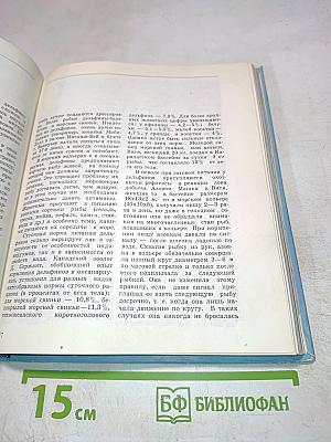 В мире китов и дельфинов