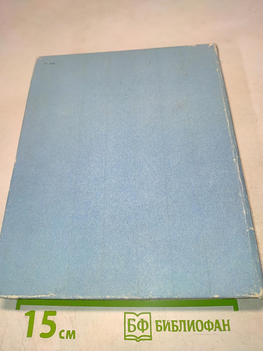 В мире китов и дельфинов