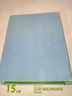 В мире китов и дельфинов