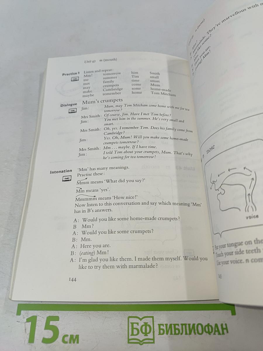 Ship or Sheep? An intermediate pronunciation course