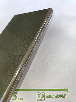 Королевы и ведьмы Лохлэнна