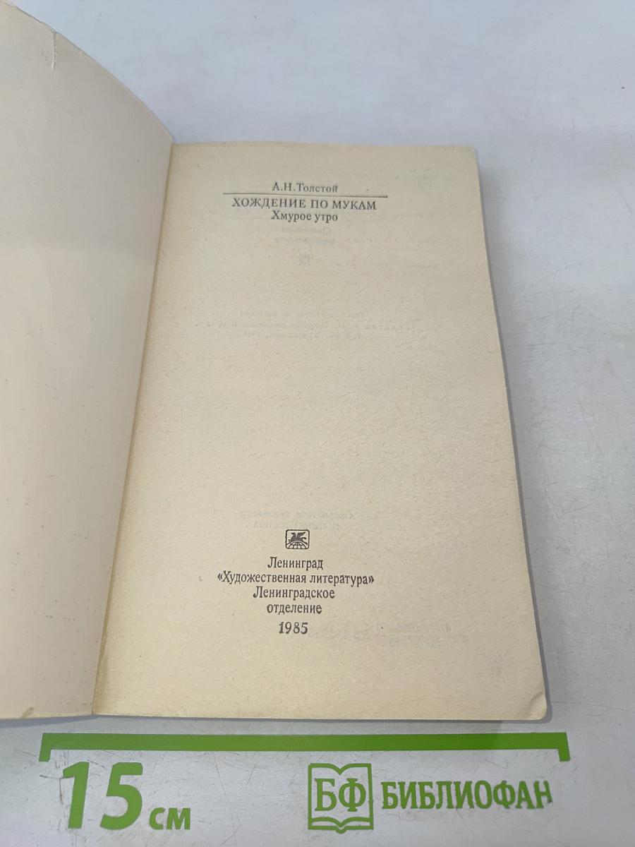 Хождение по мукам. Хмурое утро