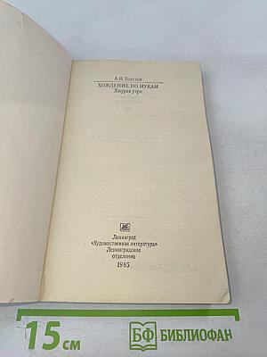 Хождение по мукам. Хмурое утро