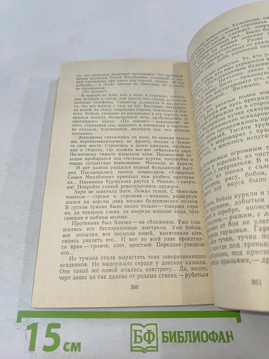 Хождение по мукам. Хмурое утро