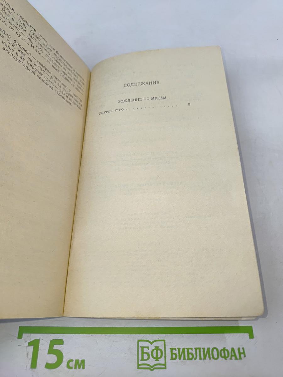 Хождение по мукам. Хмурое утро