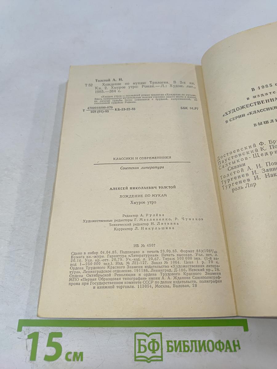 Хождение по мукам. Хмурое утро