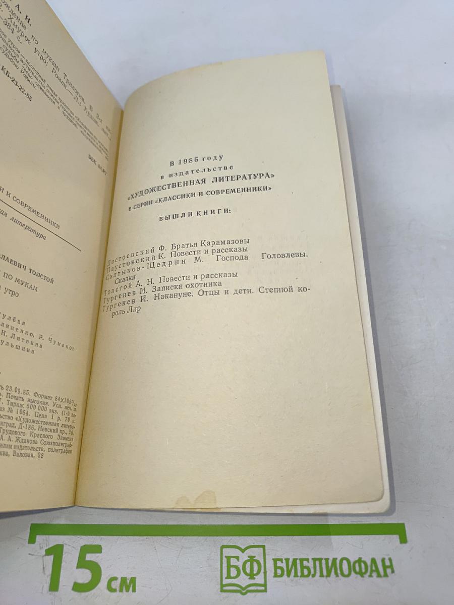 Хождение по мукам. Хмурое утро