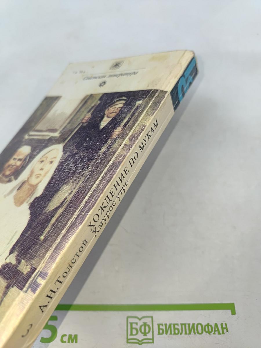 Хождение по мукам. Хмурое утро