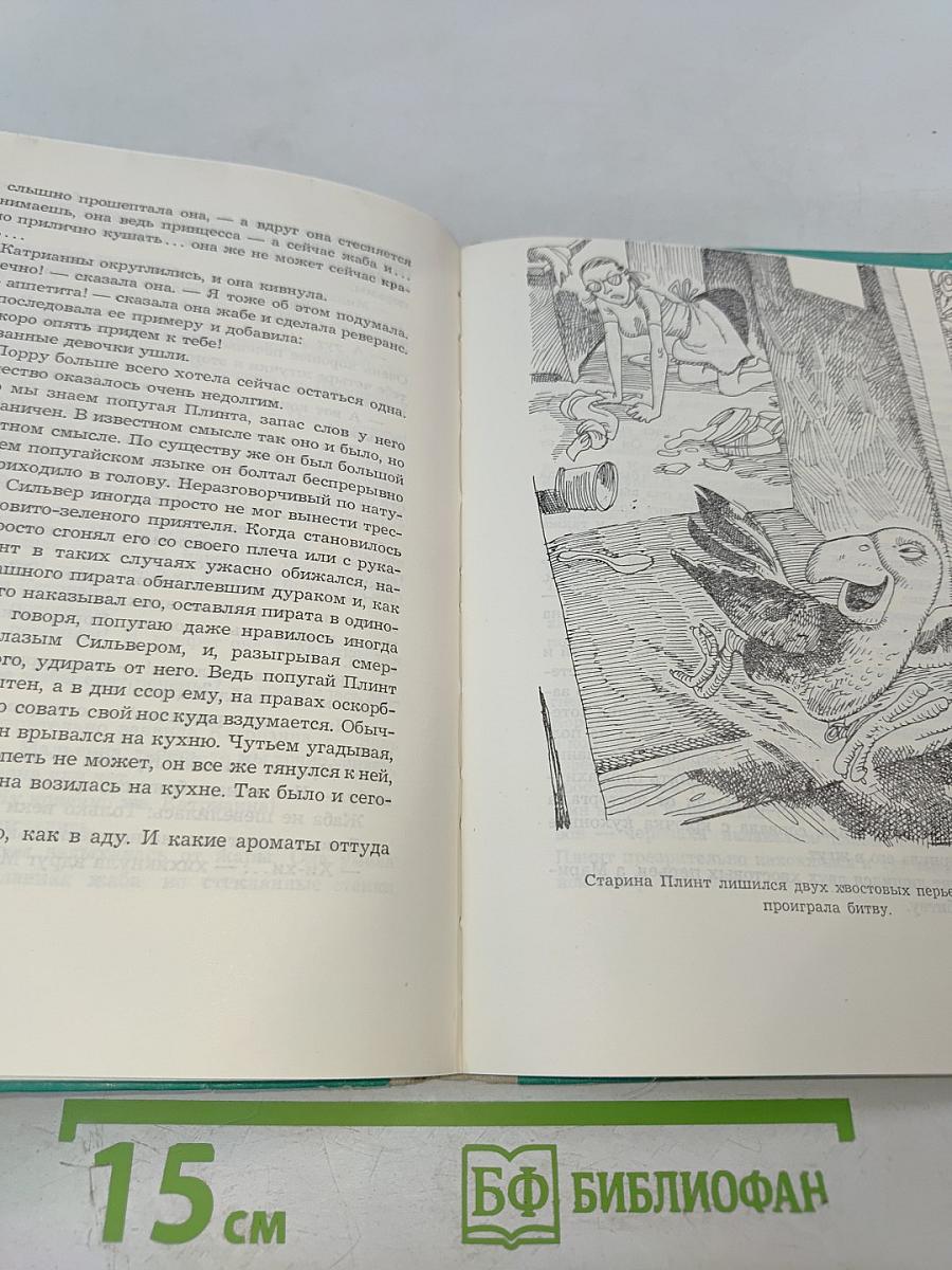Одноглазый Сильвер, страшный разбойник с острова Фельсланда