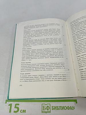 Одноглазый Сильвер, страшный разбойник с острова Фельсланда