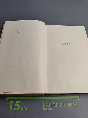 Иван Саввич Никитин. Том четвертый: Проза и письма