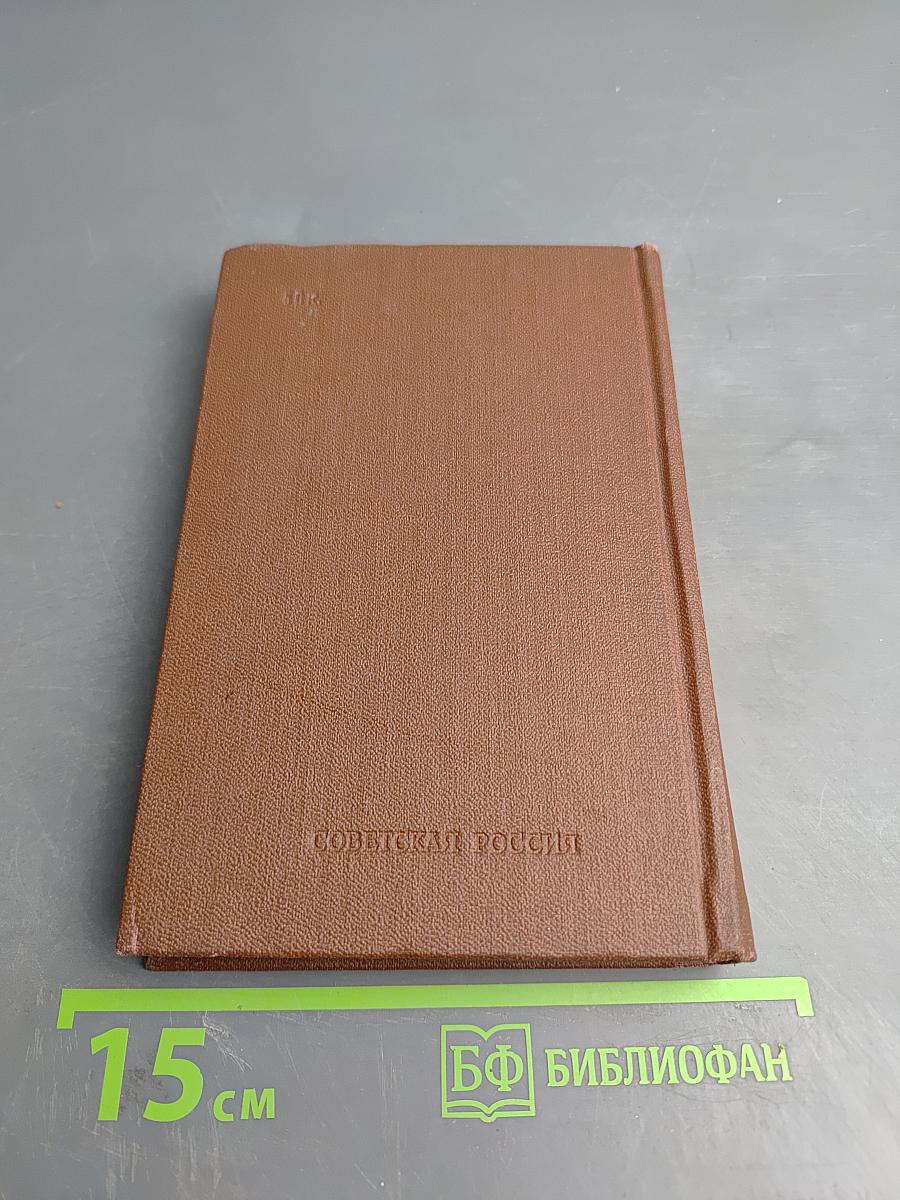 Иван Саввич Никитин. Том четвертый: Проза и письма