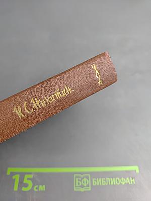 Иван Саввич Никитин. Том четвертый: Проза и письма