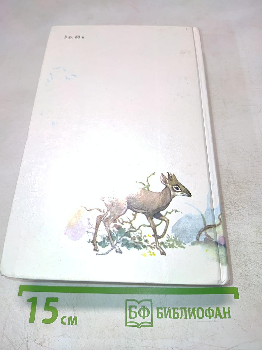 Под пологом пьяного леса