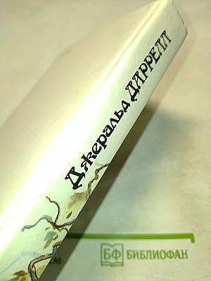 Под пологом пьяного леса