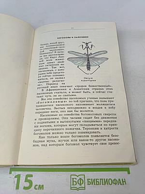 Зоопарк в твоей книжке. Павильон 1. Насекомые