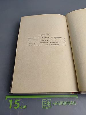 Выстрел на Фонтанке