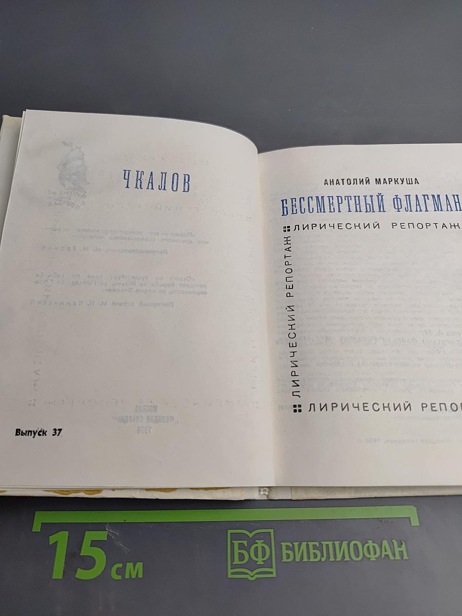 Бессмертный флагман (Чкалов)