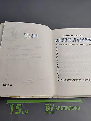 Бессмертный флагман (Чкалов)