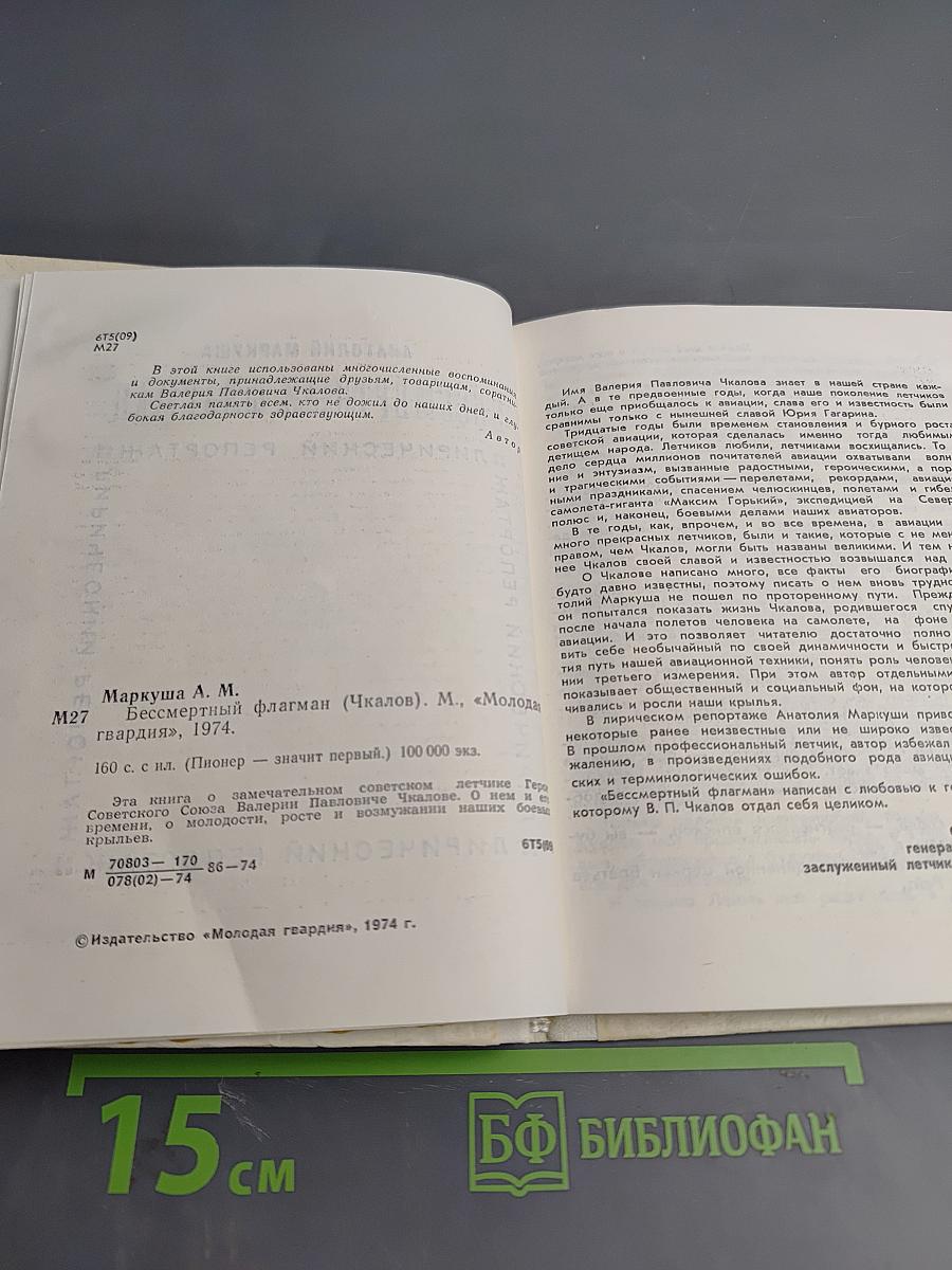 Бессмертный флагман (Чкалов)