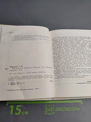 Бессмертный флагман (Чкалов)