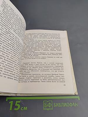 Бессмертный флагман (Чкалов)