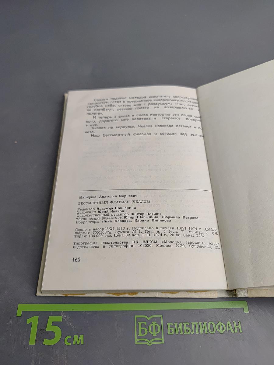 Бессмертный флагман (Чкалов)