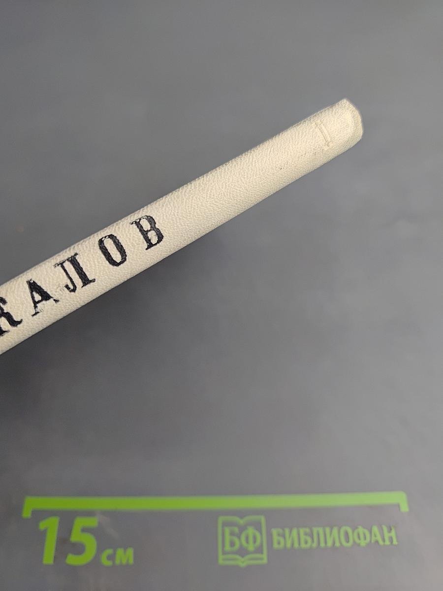 Бессмертный флагман (Чкалов)