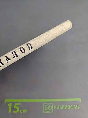 Бессмертный флагман (Чкалов)