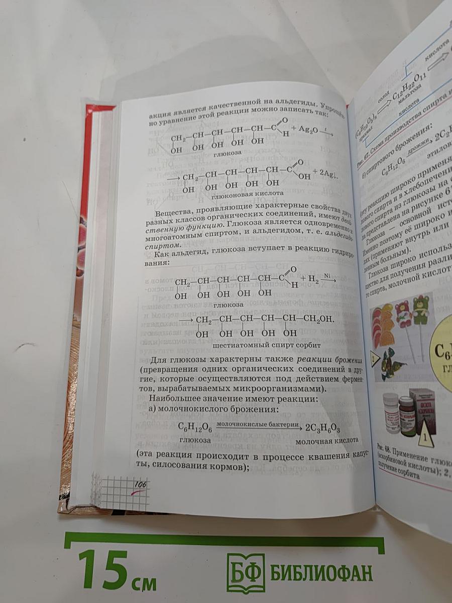 Химия 10 класс. Базовый уровень