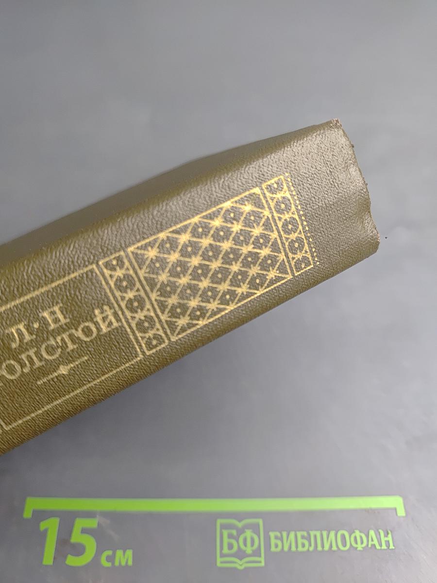 Повести и рассказы 1872-1886, Том десятый