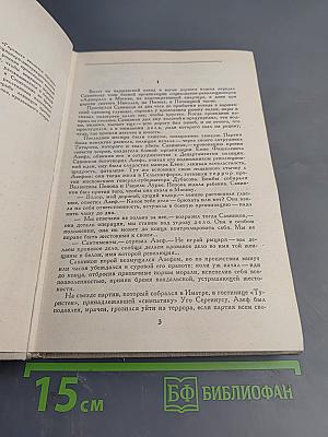 Горение. Роман-хроника. Книга вторая