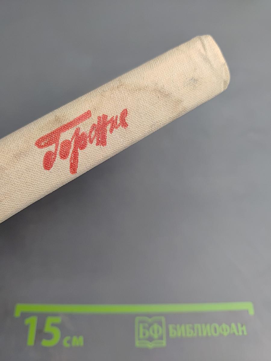 Горение. Роман-хроника. Книга вторая