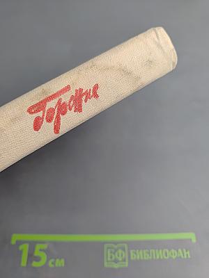 Горение. Роман-хроника. Книга вторая