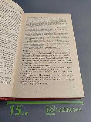 Избранные произведения. Том второй: Мать, Дело Артамоновых