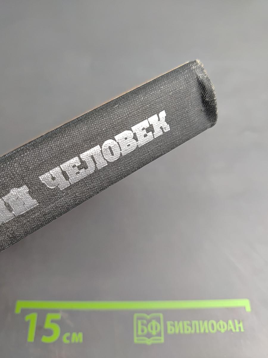 Вечный человек