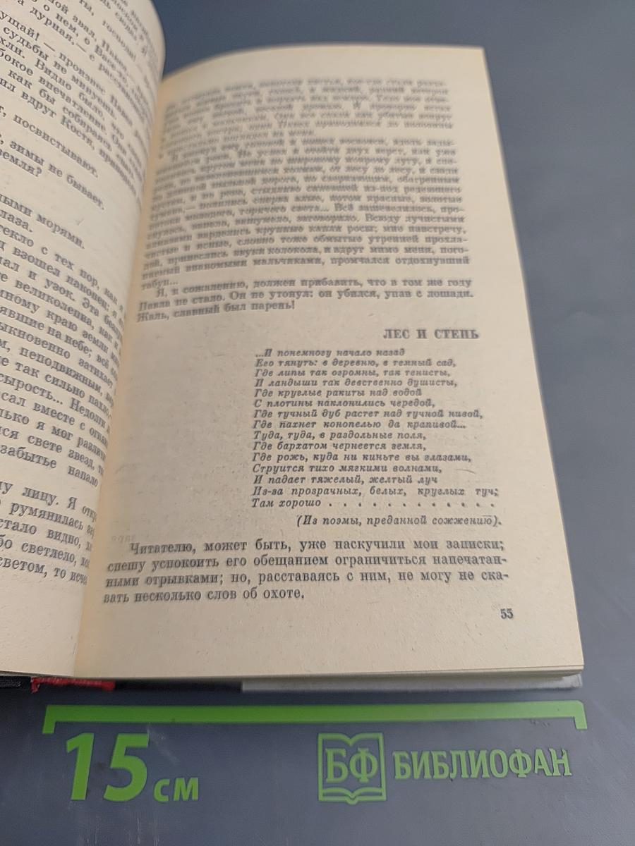 Времена года