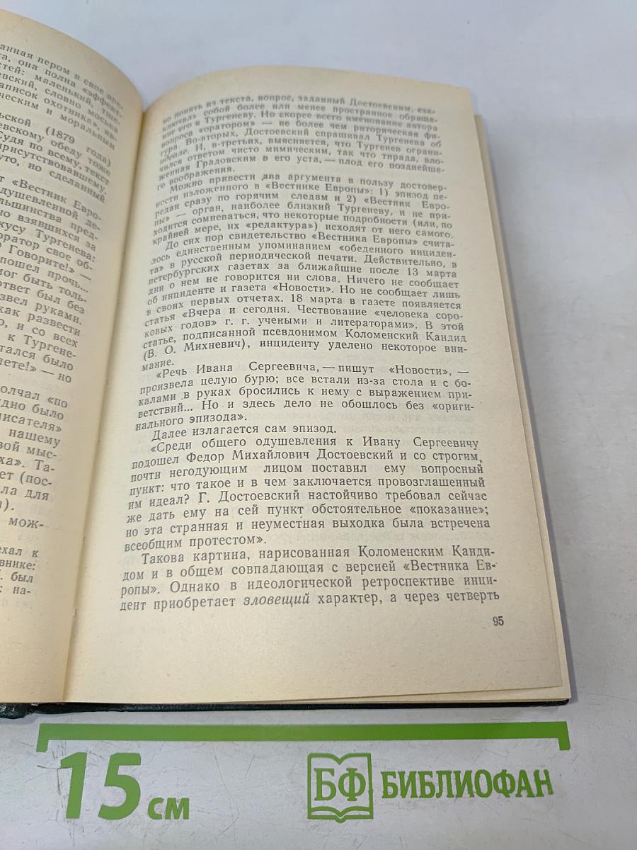 Последний год Достоевского