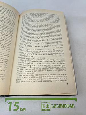 Последний год Достоевского