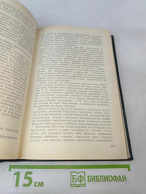 Последний год Достоевского