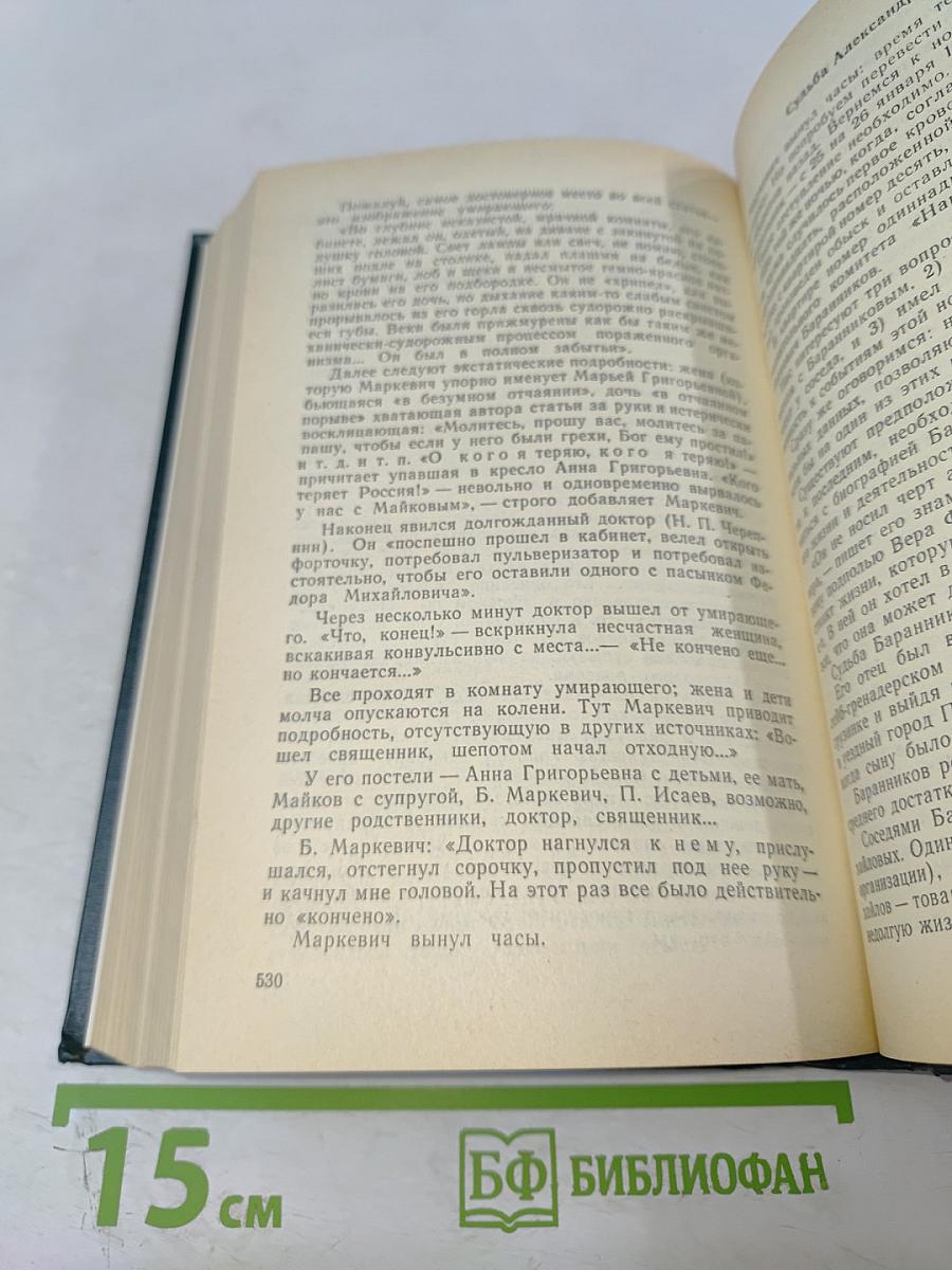 Последний год Достоевского