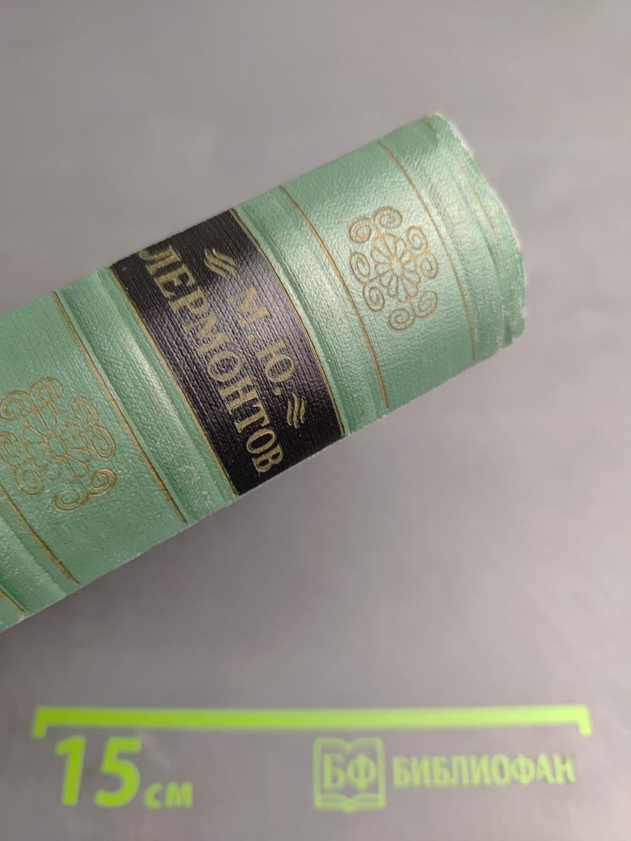 М.Ю. Лермонтов. Стихотворения 1828–1841. Том первый