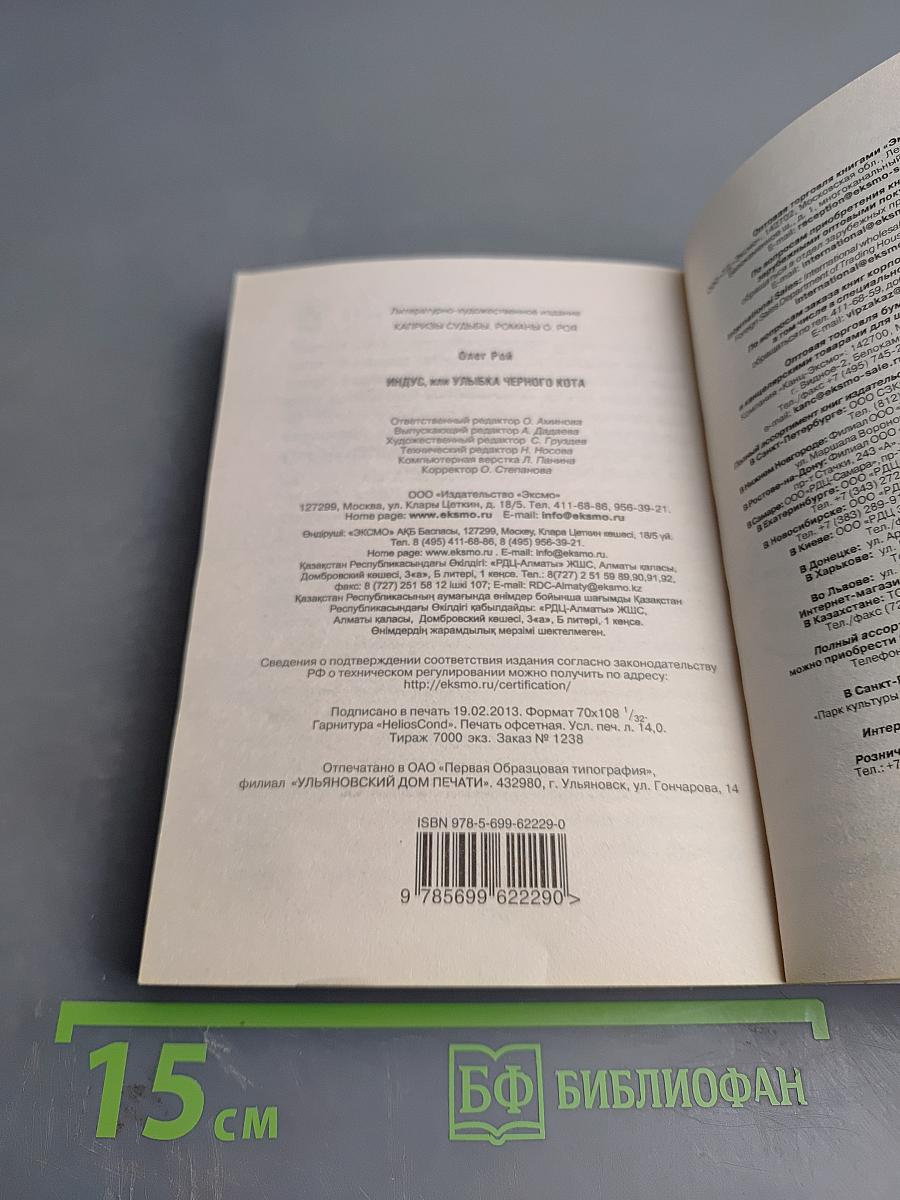 Индус, или Улыбка черного кота