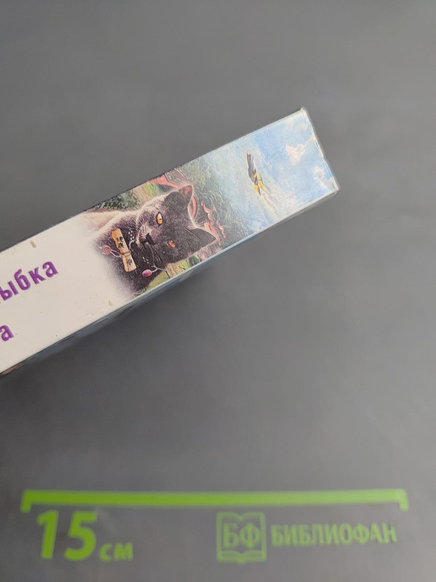 Индус, или Улыбка черного кота