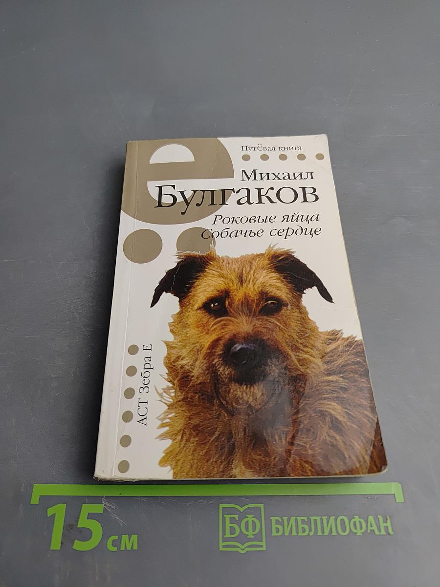 Роковые яйца. Собачье сердце