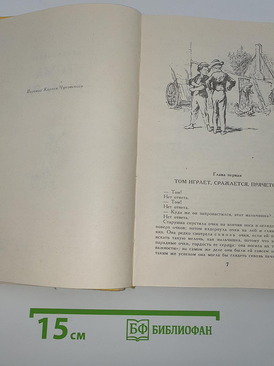Приключения Тома Сойера. Приключения Гекльберри Финна