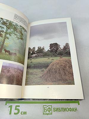 Душа моя. Все мысли мои в России